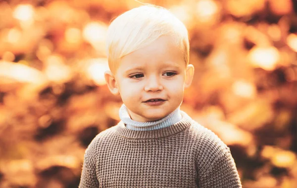 Chłopiec Jesiennymi Liśćmi Mały Chłopiec Jesiennym Parku — Zdjęcie stockowe
