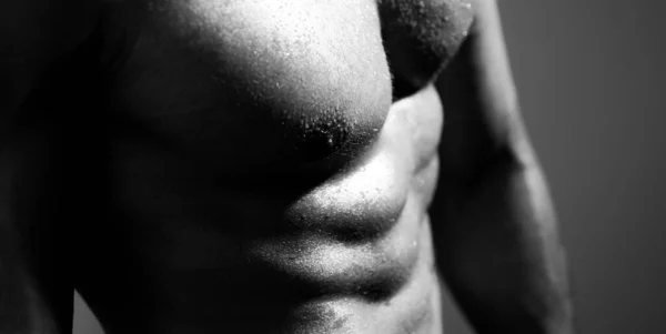 Mans Torso Handsome Muscular Man Six Pack Abs — Stock Photo, Image