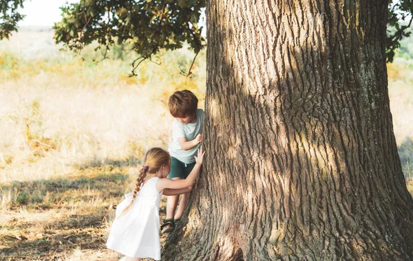 Little girl and boy climbing a tree. Cute kids on the big old tree on sunny day. Child climbing a tree