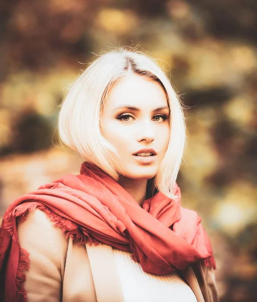 美丽的年轻女子在户外散步的画像 时尚女性在秋天的乡村风格 红领巾快乐女孩的脸 — 图库照片
