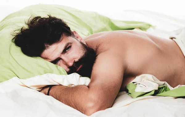 Attractive bearded guy holding in hands pillow in bed. Boy sleeping and dreaming. Man sleep in bed alone