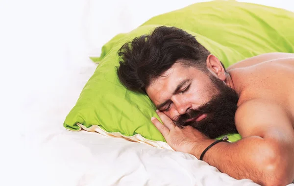 Handsome man in bed. Bearded man sleeping on bed in bedroom. Good morning. Young man sleeping in bed with pillows at home