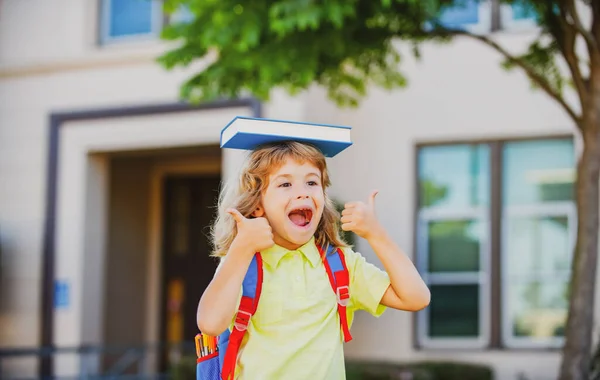 Back to school. Funny little boy in glasses at school. Child from elementary school with book and bag. Education child