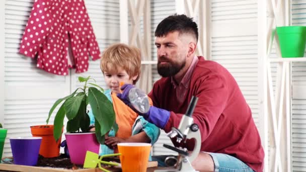 Evde Aile Saksı Bitkisi Var Baba Oğul Saksıda Bitki Yetiştiriyor — Stok video
