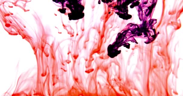 Colored Abstract Explosion Effect Abstract Color Paint Color Swirls Water — Video Stock