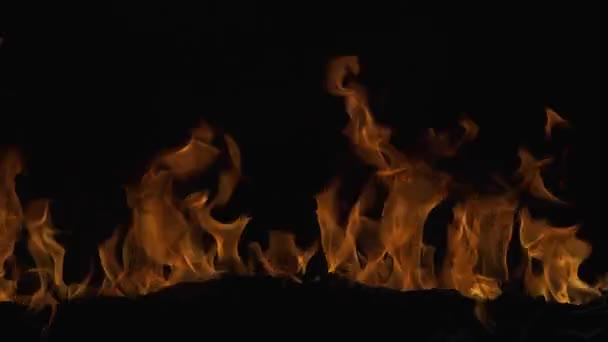 Vidéo de mur du feu clips vidéos. Vidéo du flammes, texture - 41844441