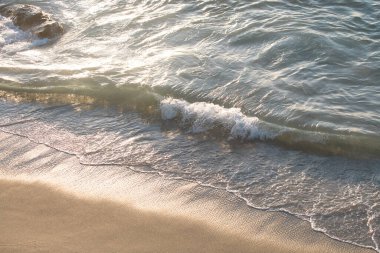 Tropik deniz. Yaz kumsalı ve okyanus geçmişi