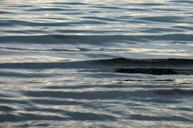 Tropik deniz. Yaz kumsalı ve okyanus geçmişi