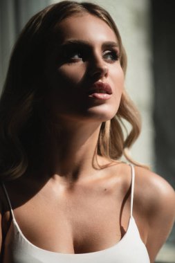 Güzel genç bir kadının portresi. Şehvetli, güzel bir kadın modelin yüzünü yakından çek. Doğal güzellik kadını. Stüdyoda seksi kadın pozu