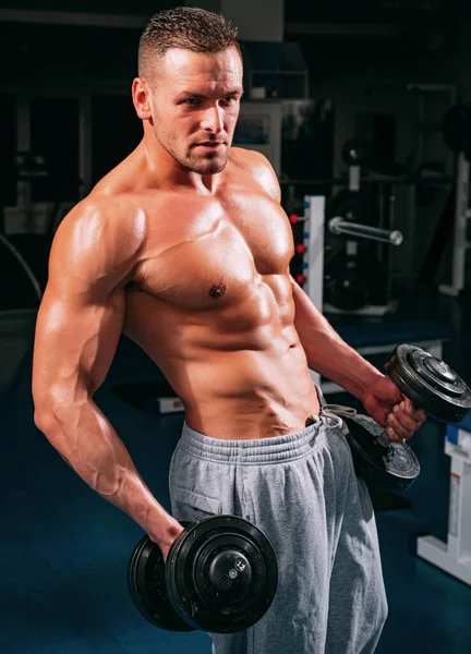 Athletic Men Exercise Weights Dumbbells Sporty Lifestyle Gym Workouts Attractive — Stockfoto