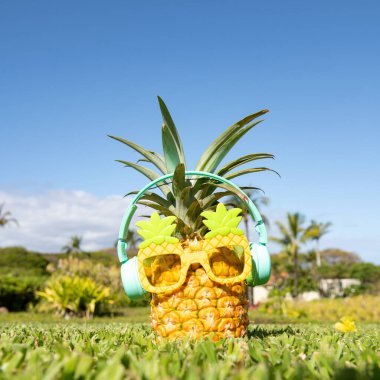 Yaz tropik ananas arka planı. Ananas güneş gözlüklü, mavi gökyüzü arka planında bir palmiye ağacının altında. Plajda kokteyl partisi, dinlenme, rahatlama ve yaz konsepti.
