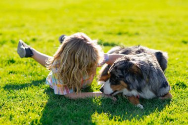 Köpek ve çocuk top yakalama oyunu oynuyorlar. Çocuk köpekle çimenlikte oynuyor. Yavru köpeği olan bir çocuk. Mutlu çocuk çimenlikte köpek aktif oyunu oynuyor