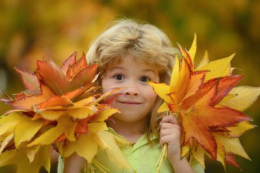 Autumn kids portrait closeup. Kids play in autumn park. Children throwing yellow leaves. Child boy with oak and maple leaf outdoor. Fall foliage. Toddler or preschooler in fall autumn nature