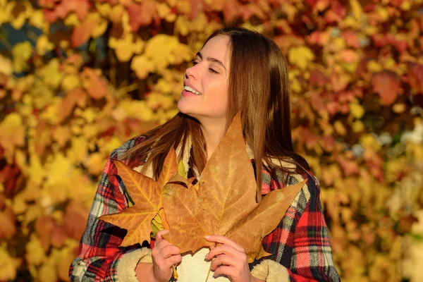 Autumn Portrait Young Woman Fall Yellow Leaves Sensual Girl Play — Photo