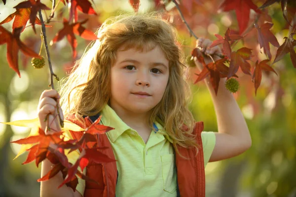 Kids Face Autumn Outdoor Children Portrait Yellow Leaves Child Boy — Fotografia de Stock