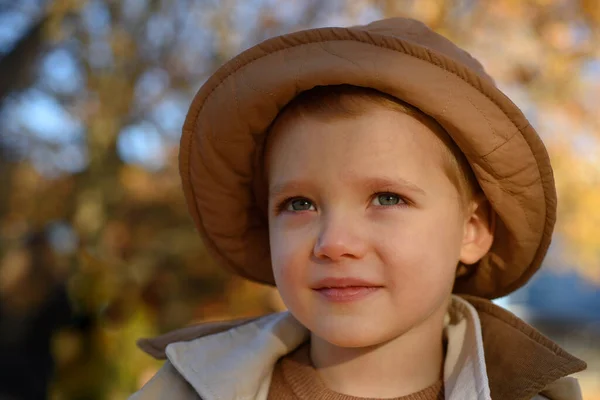 Kids Play Autumn Park Children Portrait Yellow Leaves Child Boy — Stockfoto