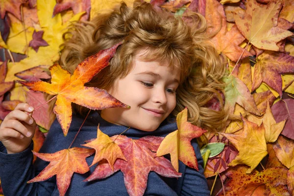 Autumn Kids Mood Child Fall Leaves Maple Leaf Background — 图库照片