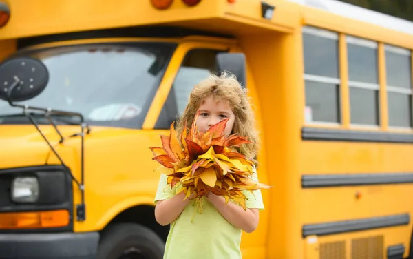 Kinder Spielen Park Mit Herbstlaub Kinder Werfen Gelbe Blätter Junge — Stockfoto