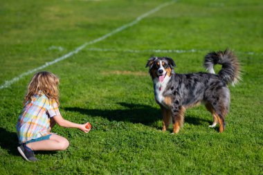 Little blond boy with her pet dog outdooors in park. Cute dog. A child with a dog playing in nature on green grass