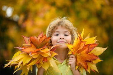 Autumn Baby Portrait on Fall Yellow Leaves Background, Child Kid in Park Outdoor, October September Season
