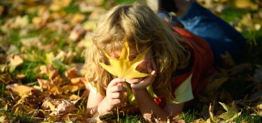Kids play in autumn park. Children throwing yellow leaves. Child boy with oak and maple leaf outdoor. Fall foliage. Toddler or preschooler in fall autumn nature