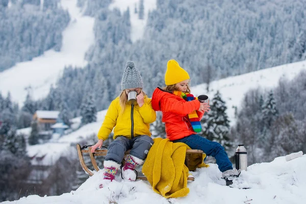 Kids Boy Little Girl Enjoying Sleigh Ride Children Sibling Together — Stock Photo, Image