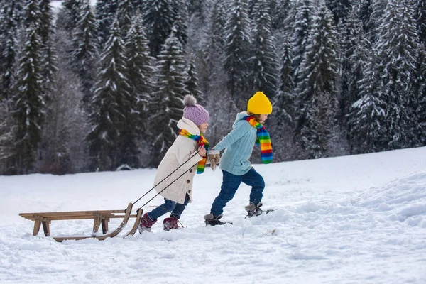 Children Sleigh Kids Boy Girl Plays Snow Winter Holiday Christmas — Stock Photo, Image