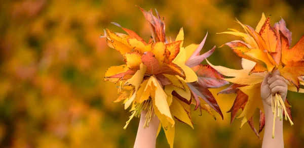 Autumn Mood Child Hand Hold Yellow Maple Leaves Autumn Background — Foto de Stock