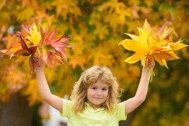 Mutlu çocuk, sonbahar parkında doğayla iç içe oynuyor.
