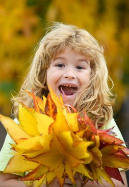 Happy fall, funny autumn. Happiness and joyful child in autumn park