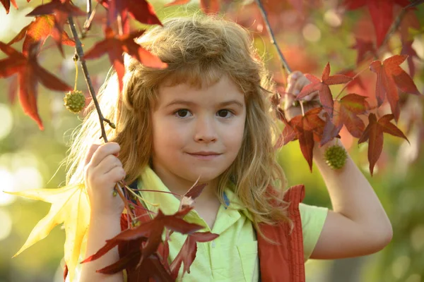 Kids Play Autumn Park Children Portrait Yellow Leaves Child Boy — 스톡 사진