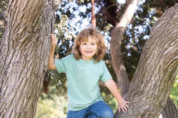 Little Child Boy Trying Climb Tree Kids Climbing Tree Happy —  Fotos de Stock