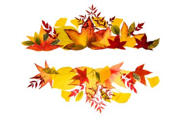 Autumn leaves background. Autumn fall frames borders. Fall leaf banner. Thanksgiving background, fall design, texture for flyer or poster