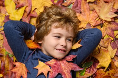 Autumn child with autumn leaves on fall nature background. Portrait of kid with fall leaves outdoor in autumn park