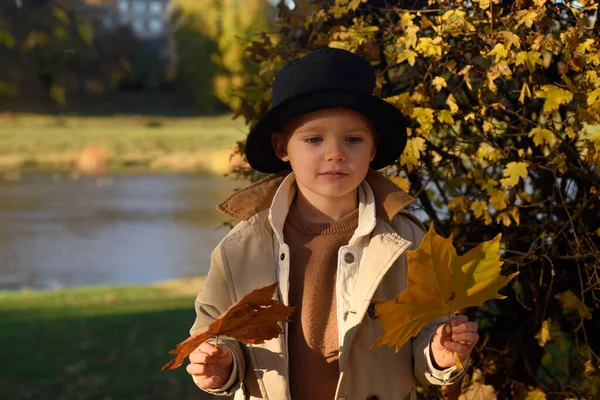 Autumn Child Portrait Fall Yellow Leaves Little Kid Boy Play — Foto de Stock