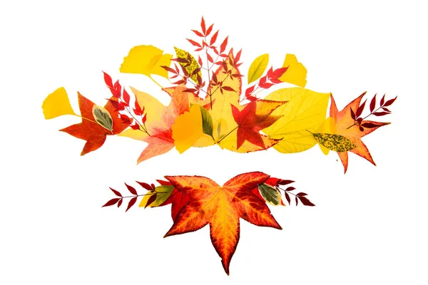 Autumn Frames Borders Fall Leaf Banner Frame Sale Thanksgiving Background — Stockfoto