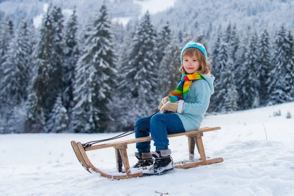 Funny Boy Having Fun Sleigh Winter Forest Woods Cute Children — Stock Photo, Image