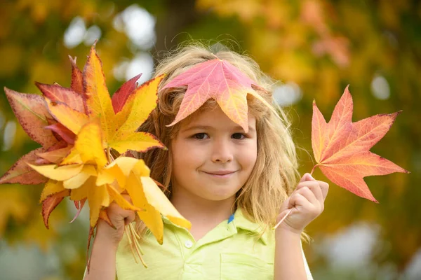 Autumn child with autumn leaves on fall nature background. Portrait of kid with fall leaves outdoor in autumn park