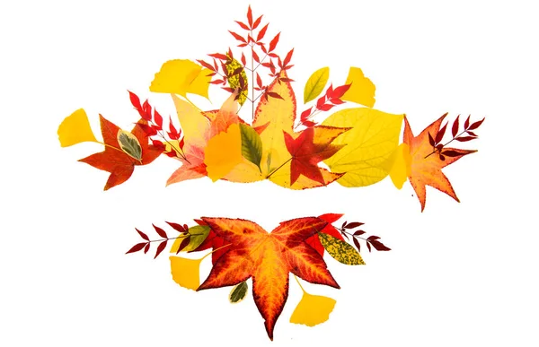 Осень Осенью Обрамляет Границы Флаг Осеннего Листа Фон Дня Благодарения — стоковое фото