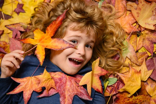 Child portrait close up, kid lying in autumn leaves. Children throwing yellow leaves. Child boy with oak and maple leaf outdoor. Fall foliage. Toddler or preschooler in fall autumn nature