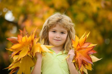 Çocuklar sonbahar yapraklarıyla parkta oynarlar. Sarı yaprakları atan çocuklar. Çocuk akçaağaç yaprağı tutuyor. Düşen yapraklar. Sonbaharda aile açık hava eğlencesi. Eylül, konsepte dönelim.