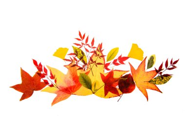 Autumn borders and frames for design banners, leaflets, posters with space for your text. Autumn leaves background. Autumn fall frames borders. Fall leaf banner. Frame sale. Thanksgiving background