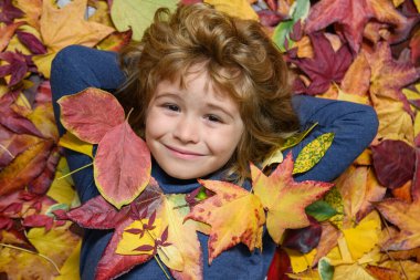 Sonbahar Bebek Portresi Sonbaharda Sarı Yapraklar Arkaplanda, Çocuk Çocuk Park Açık havada, Eylül sezonu