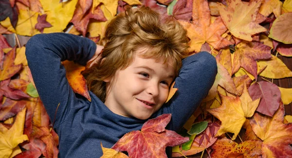 Kids face in autumn outdoor. Child portrait close up, kid lying in autumn leaves. Fall autumn foliage concept. Kid boy playing with leaves in fall autumn park