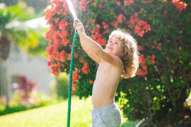 Arka bahçede bahçe hortumuyla oynayan komik çocuk. Çocuk su püskürterek eğleniyor. Çocuklar için yaz açık hava aktivitesi