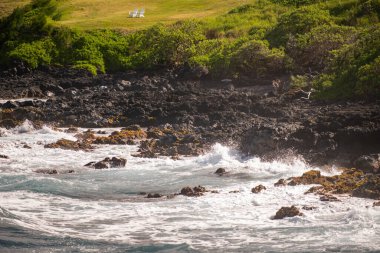 Tropik plaj geçmişi. Sakin turkuaz dalgalı kumsal. Maldivler, mükemmel manzara, kopyalama alanı