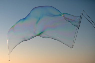 Arka planda büyük sabun köpükleri. Kocaman bir sabun köpüğü