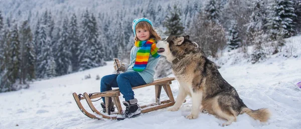 ニット帽 スカーフ セーターを着て幸せな小さな子供の肖像画 犬ぞりを楽しむ犬と子供の男の子 子供は雪の中で屋外でそりに乗るそり 冬のニット子供服 — ストック写真