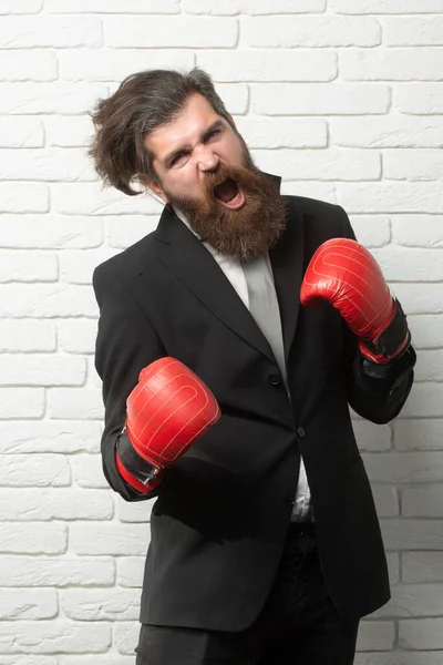 Těžká Práce Vtipný Vzrušený Podnikatel Boxerských Rukavicích — Stock fotografie