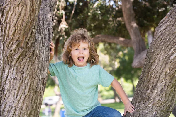 Liten Pojke Som Försöker Klättra Ett Träd Barn Klättrar Upp — Stockfoto